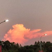 舟山魚缸批發(fā)市場：舟山國際水產(chǎn)城——中國第一魚市