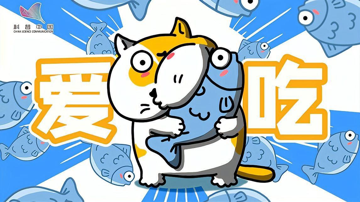 貓會吃魚缸里的魚嗎：你被貓貓愛吃魚忽悠了多久呢