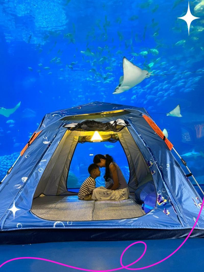 東莞水族店：東莞水族市場在哪里有哪些高端水族店推薦nick