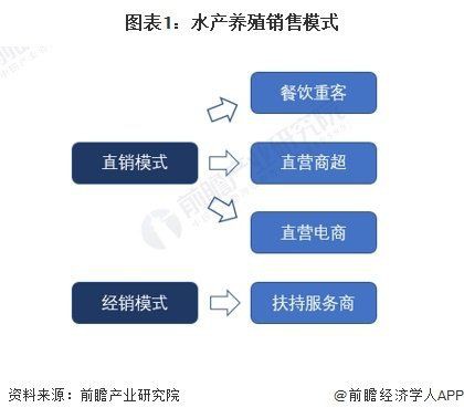 小火龍魚的市場需求有多大？：小火龍蠑螈飼養指南