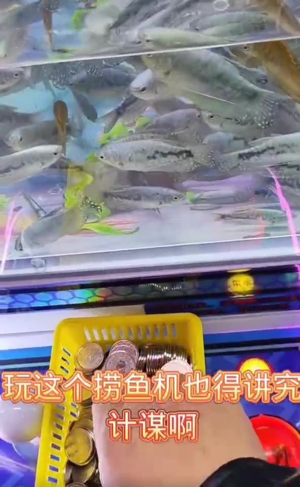 撈魚俠機器多少錢一臺：撈金魚撈蝦撈烏龜,新奇玩法娛樂熱潮