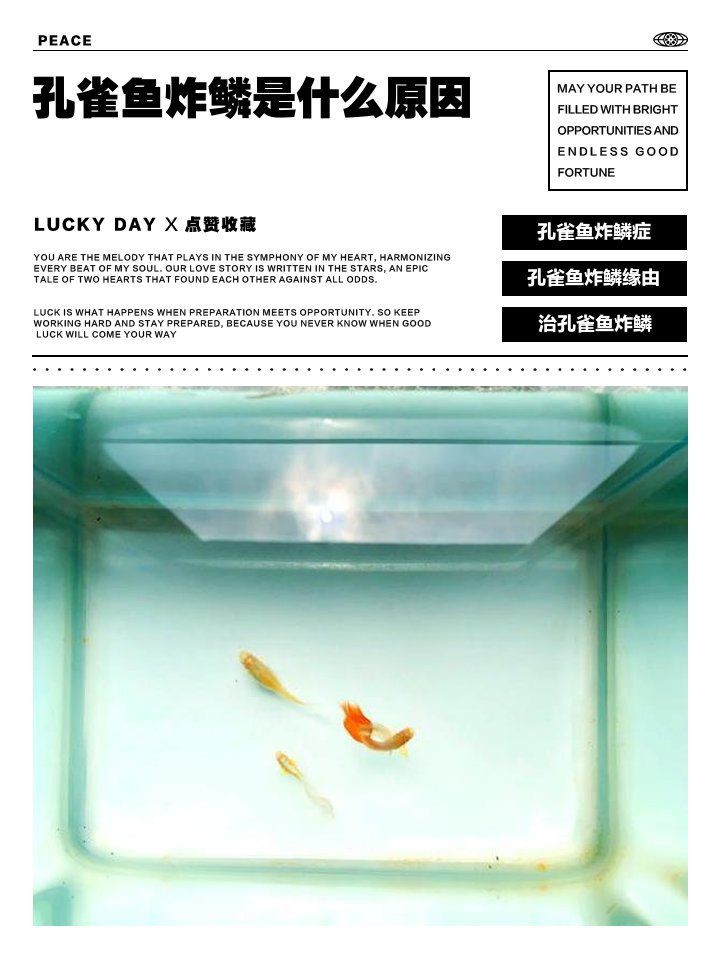 孔雀魚炸鱗能自愈嗎：孔雀魚炸鱗怎么治療 孔雀魚炸鱗能自愈嗎：孔雀魚炸鱗怎么治療 龍魚百科 第13張
