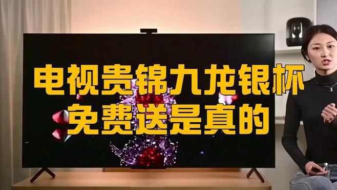 九龍銀杯：九龍銀杯是一種融合傳統(tǒng)文化與傳統(tǒng)文化與現(xiàn)代工藝的高端銀制器皿