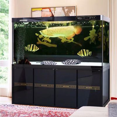 龍魚缸圖片（龍魚缸圖片展示）