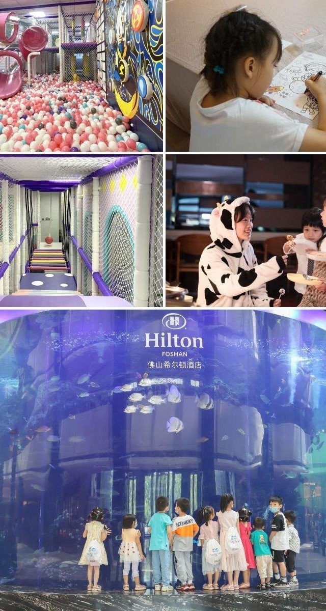 佛山水族店：45,佛山大瀝的寶藏水族店,你知道嗎