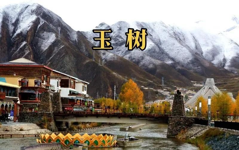 玉樹藏族自治州水族批發市場：玉樹藏族自治州從生態綠地中“長”出的高原小城