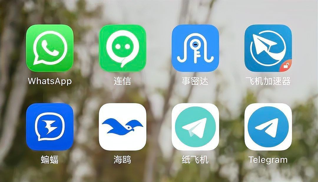 海鷗app是正規聊天軟件嗎？：海鷗app是一款主打隱私保護的加密即時通訊軟件