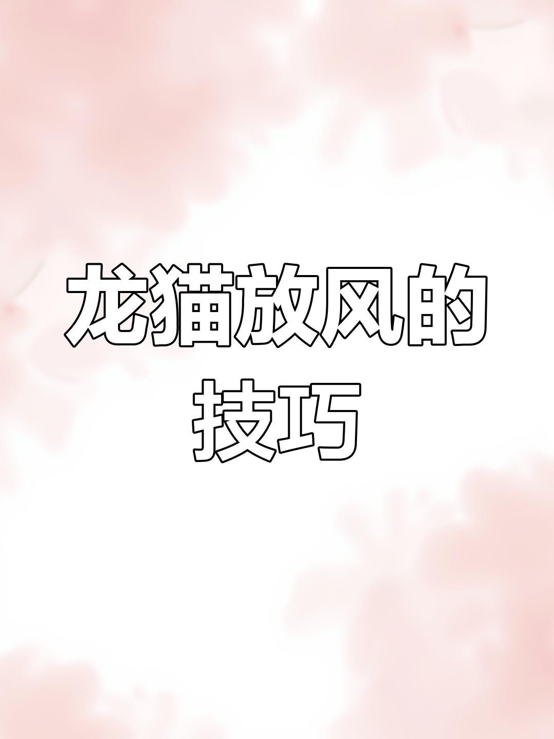 放風時如何確保龍貓安全？【如何帶龍貓放風】