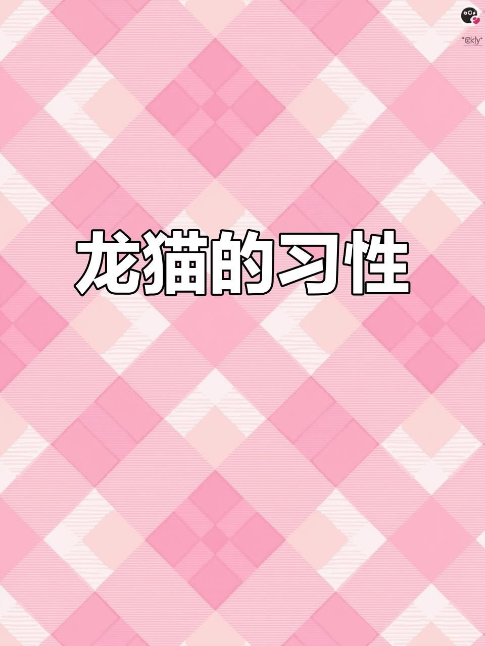 放風時如何確保龍貓安全？【如何帶龍貓放風】