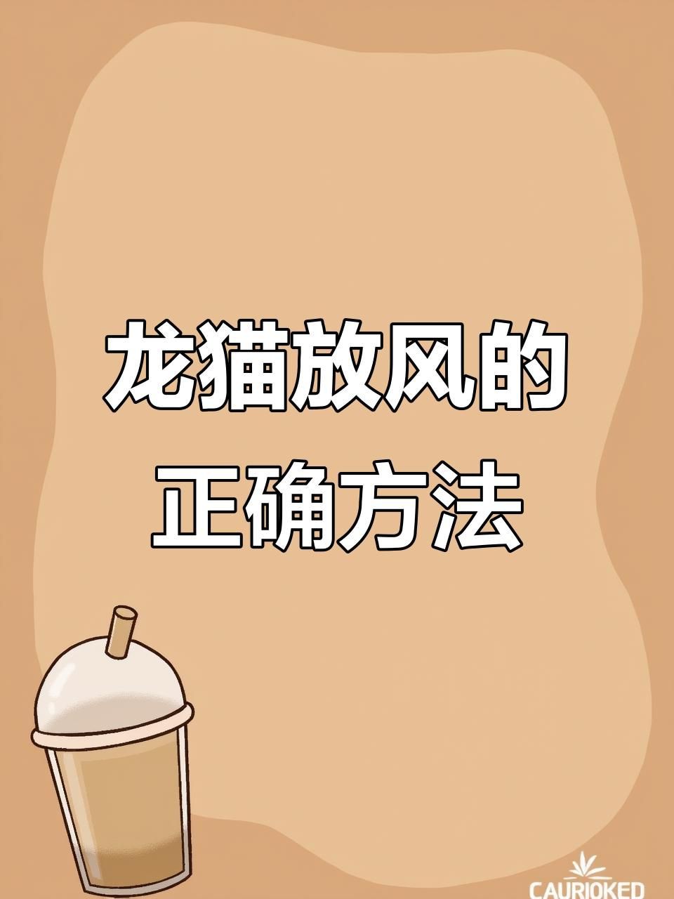 放風時如何確保龍貓安全？【如何帶龍貓放風】