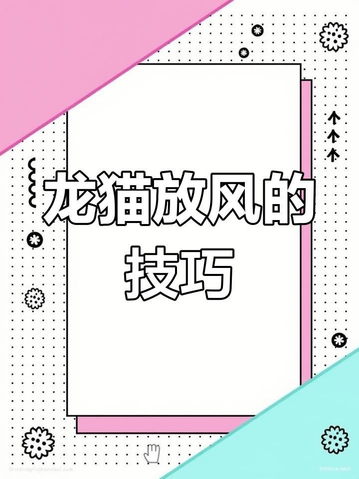 放風時如何確保龍貓安全？【如何帶龍貓放風】