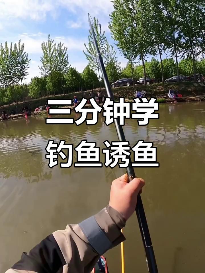 什么東西誘魚最快【小劉講釣魚3分鐘學(xué)會快速誘魚,掌握黑坑鯉釣技巧】