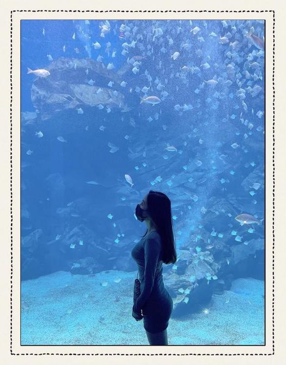 臺灣水族店【臺北水族店有哪些特色產品臺灣水族產業未來發展趨勢】 臺灣水族店【臺北水族店有哪些特色產品臺灣水族產業未來發展趨勢】 全國水族館企業名錄 第1張