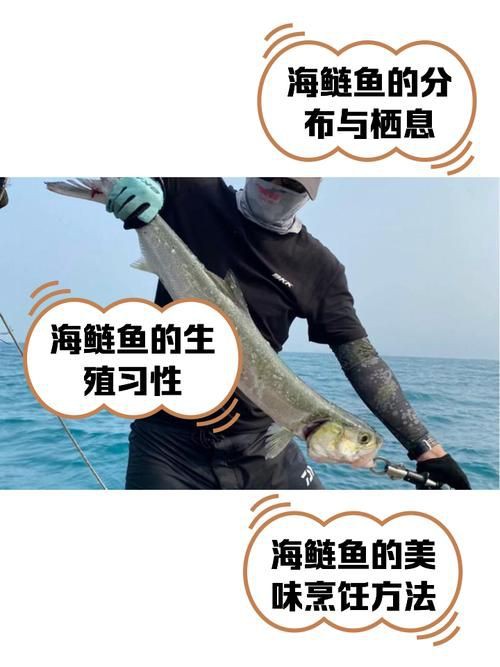 海鰱鳙魚圖片【海鰱與鳙魚對比及特征】