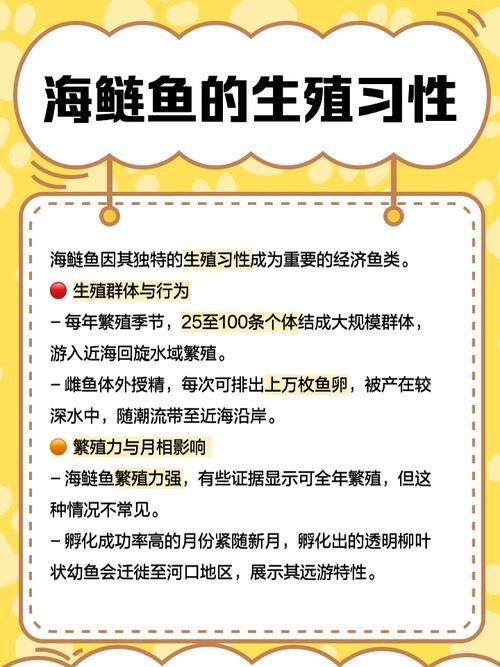 海鰱鳙魚圖片【海鰱與鳙魚對比及特征】