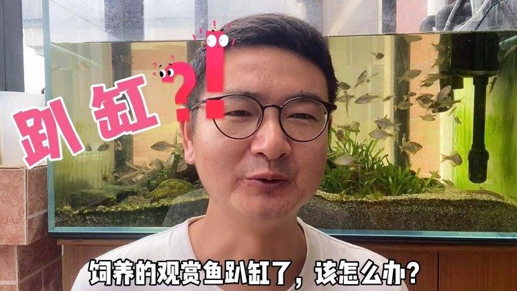 如何預(yù)防魚趴缸再次發(fā)生？【預(yù)防魚趴缸再次發(fā)生需要從水質(zhì)管理、環(huán)境穩(wěn)定性和日常操作等方面綜合采取措施】