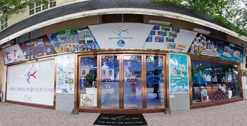 深圳魚缸店【關于深圳主要魚缸店的綜合介紹】
