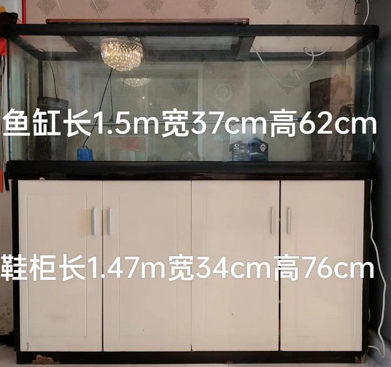 二手魚缸轉讓300元以下【二手魚缸轉讓的忌諱與注意事項】