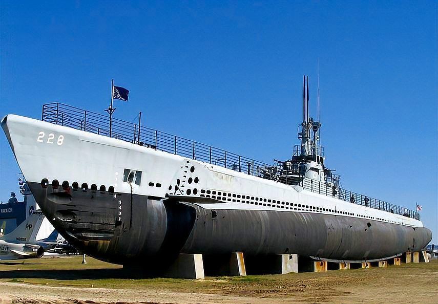 貓鯊級潛艇【太平洋雙雄之貓鯊級潛艇】 貓鯊級潛艇【太平洋雙雄之貓鯊級潛艇】 龍魚百科 第3張