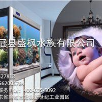 衡水魚缸定做【冠縣盛楓水族有限公司衡水魚缸定制廠家直銷價格多少錢一個)】