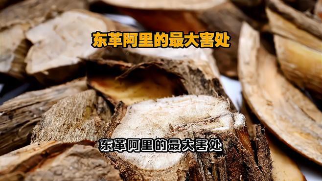 東革阿里為何盡量少吃【東革阿里為什么盡量少吃郵輪通aquacruise】