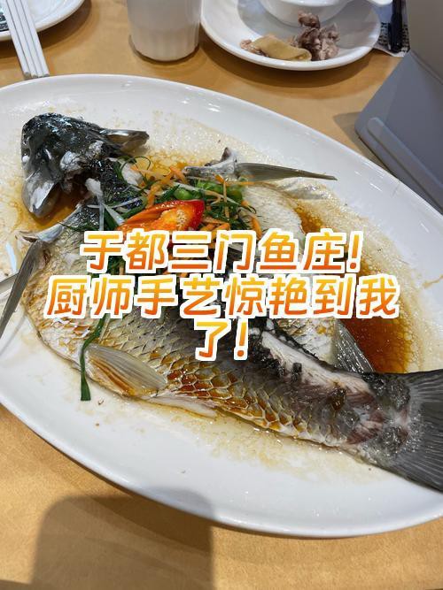 于都龍魚店【于都龍魚店有哪些特色品種】