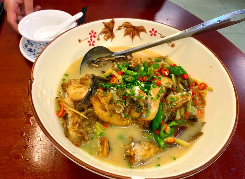 于都龍魚店【于都龍魚店有哪些特色品種】