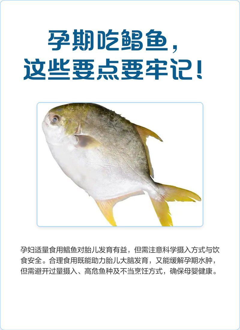 流網(wǎng)鯧魚為何不建議吃【小貍玥，吃鯧魚的注意事項(xiàng)】
