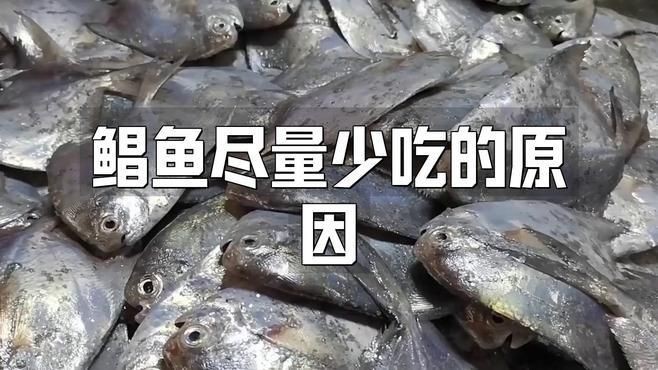 流網(wǎng)鯧魚為何不建議吃【小貍玥，吃鯧魚的注意事項(xiàng)】
