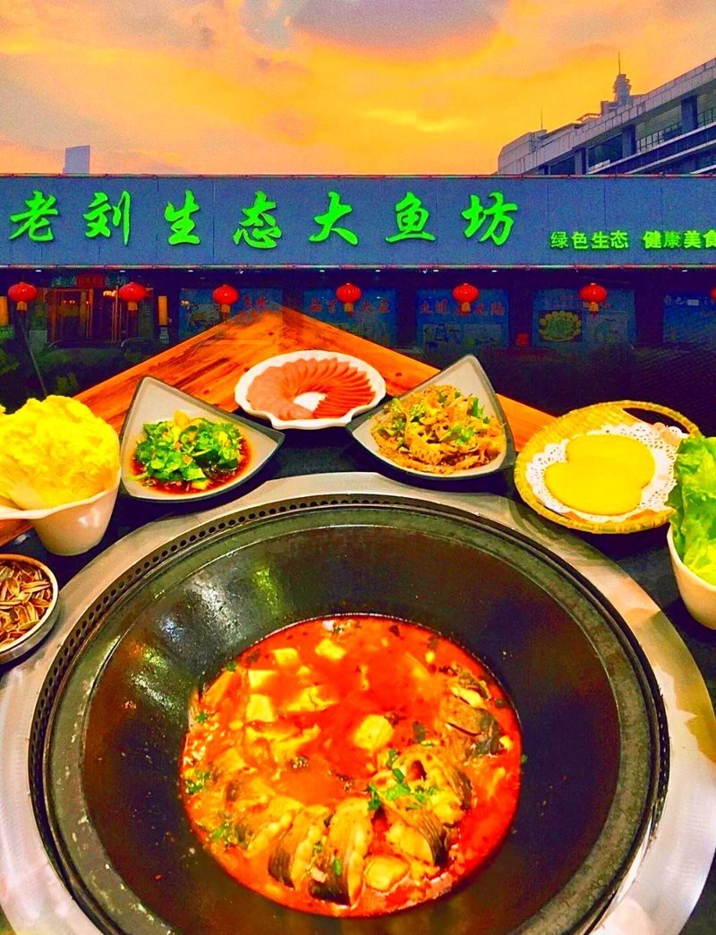 烏伊嶺龍魚店【烏伊嶺地區有龍魚店嗎】
