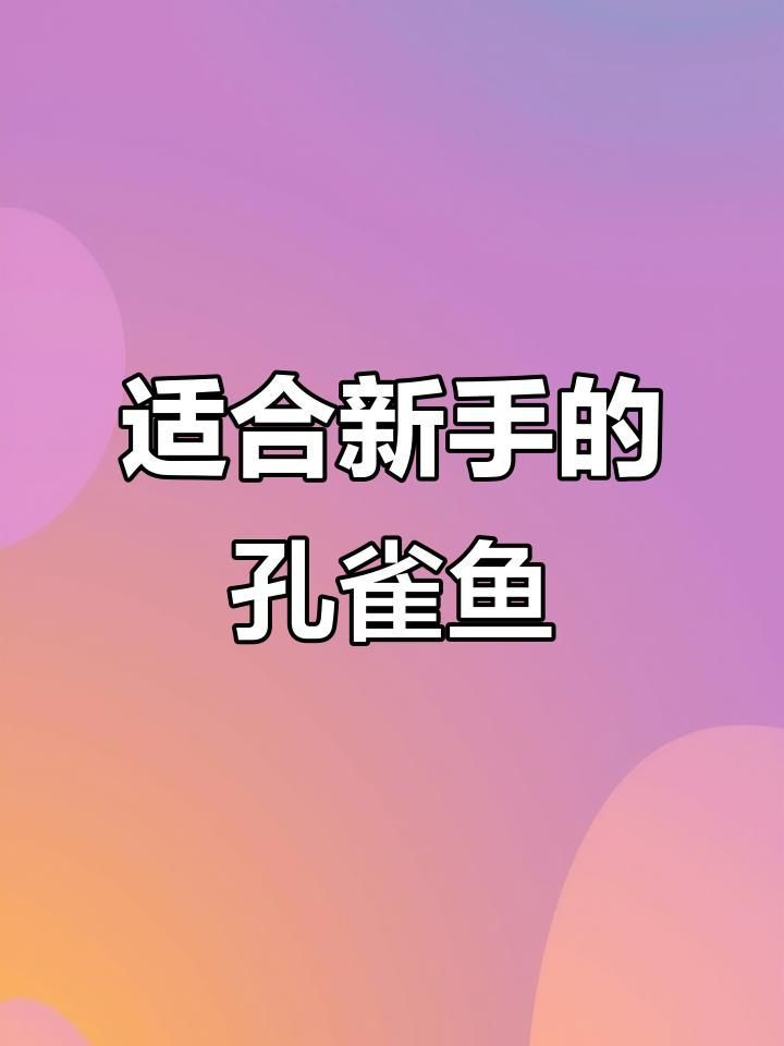 孔雀魚(yú)最建議買(mǎi)的三個(gè)品種【三種高性價(jià)比孔雀魚(yú)推薦】