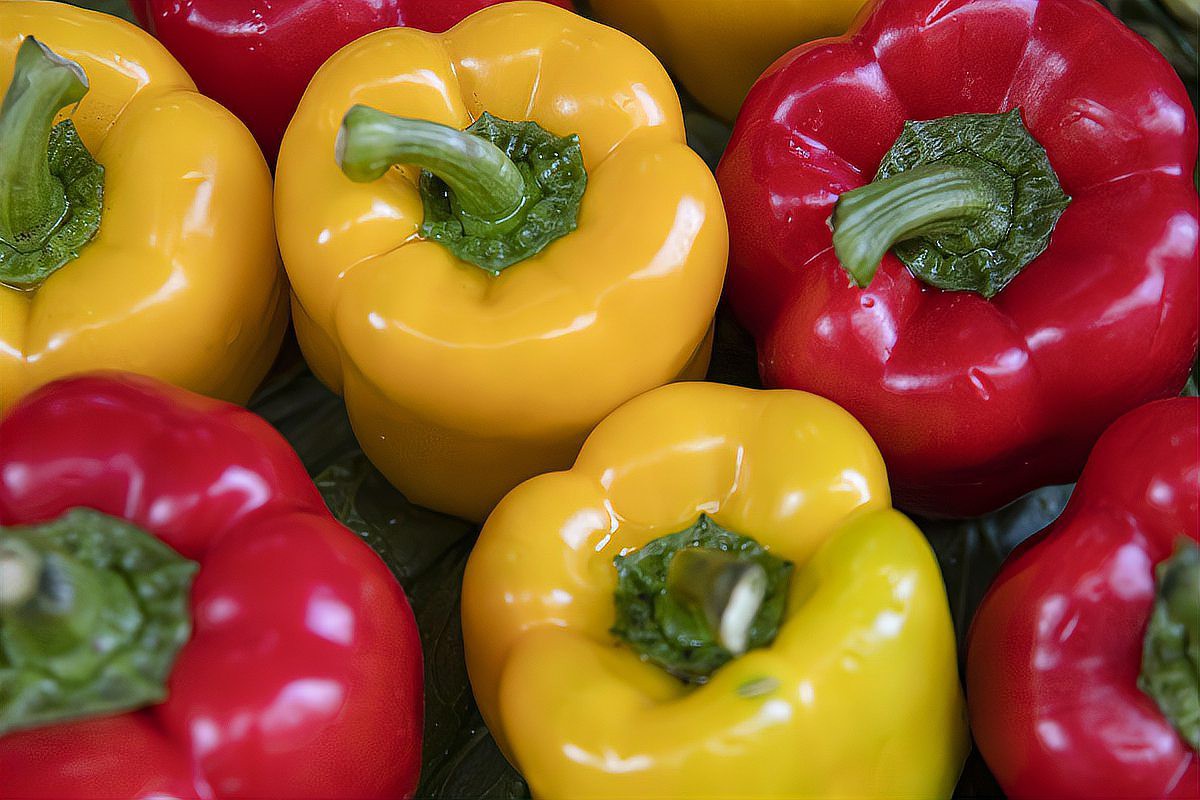 七彩辣椒為何不建議吃【七彩辣椒為何盡量少吃婦產科許春艷彩椒為何盡量少吃】