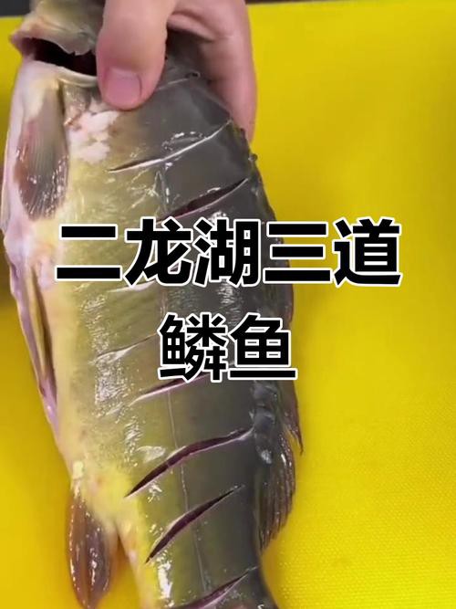 東北三道鱗魚圖片【東北三道鱗魚，農(nóng)村叫它三道鱗魚，釣友帶回5斤大魚】