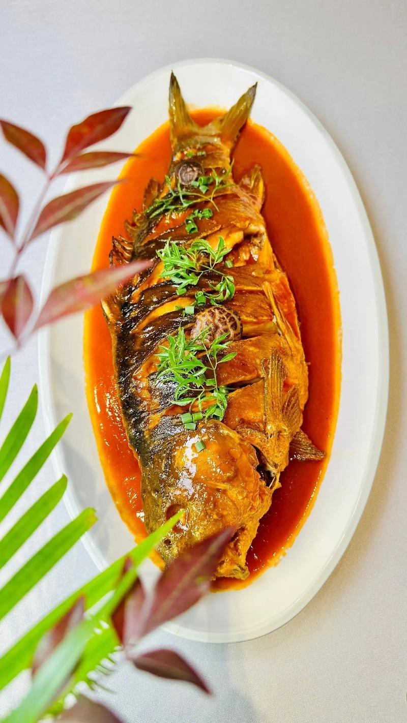 東北三道鱗魚圖片【東北三道鱗魚，農(nóng)村叫它三道鱗魚，釣友帶回5斤大魚】