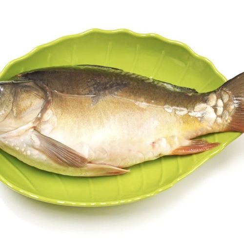 東北三道鱗魚圖片【東北三道鱗魚，農(nóng)村叫它三道鱗魚，釣友帶回5斤大魚】