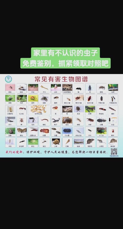 昆蟲識別圖鑒掃一掃【《昆蟲識別圖鑒掃一掃》安卓版（v2.7.12）】