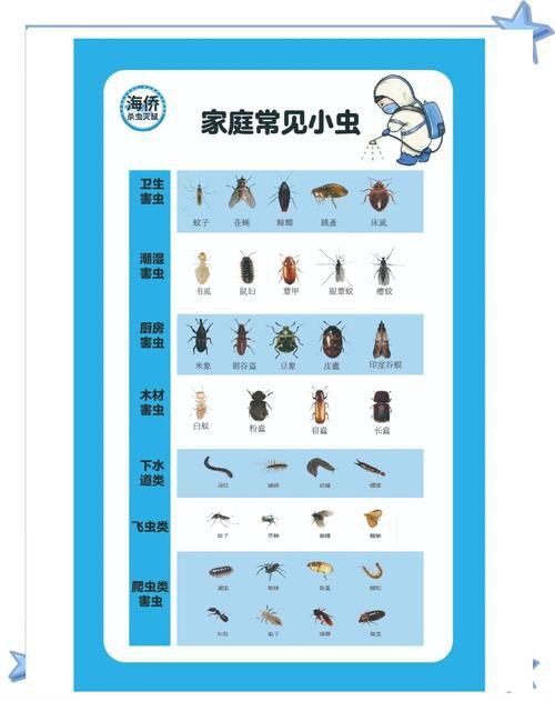 昆蟲識別圖鑒掃一掃【《昆蟲識別圖鑒掃一掃》安卓版（v2.7.12）】