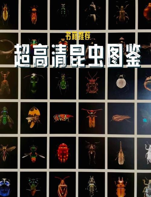 昆蟲識別圖鑒掃一掃【《昆蟲識別圖鑒掃一掃》安卓版（v2.7.12）】