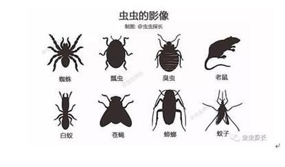 昆蟲識別圖鑒掃一掃【《昆蟲識別圖鑒掃一掃》安卓版（v2.7.12）】