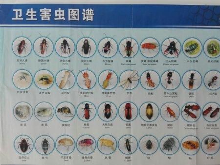 昆蟲識別圖鑒掃一掃【《昆蟲識別圖鑒掃一掃》安卓版（v2.7.12）】