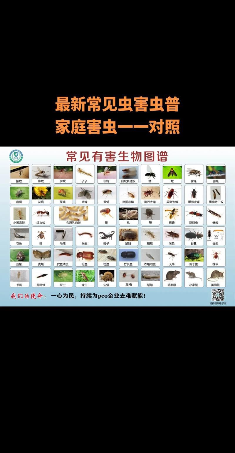 昆蟲(chóng)識(shí)別圖鑒掃一掃【《昆蟲(chóng)識(shí)別圖鑒掃一掃》安卓版（v2.7.12）】