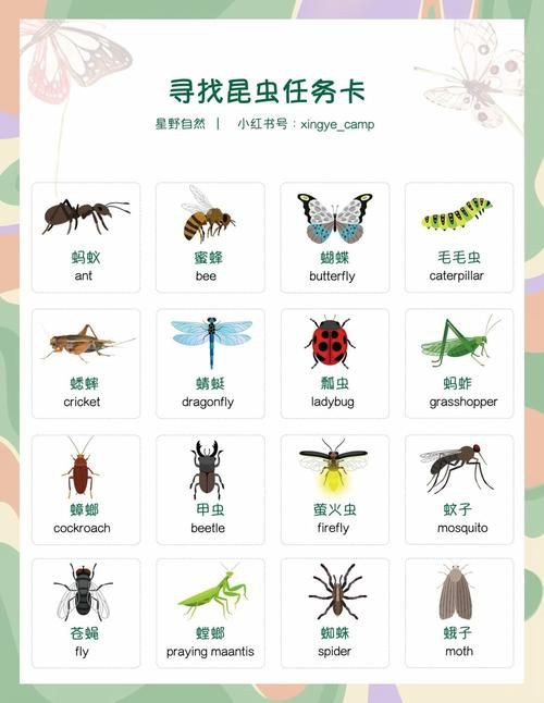 昆蟲識別圖鑒掃一掃【《昆蟲識別圖鑒掃一掃》安卓版（v2.7.12）】