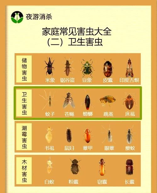 昆蟲(chóng)識(shí)別圖鑒掃一掃【《昆蟲(chóng)識(shí)別圖鑒掃一掃》安卓版（v2.7.12）】