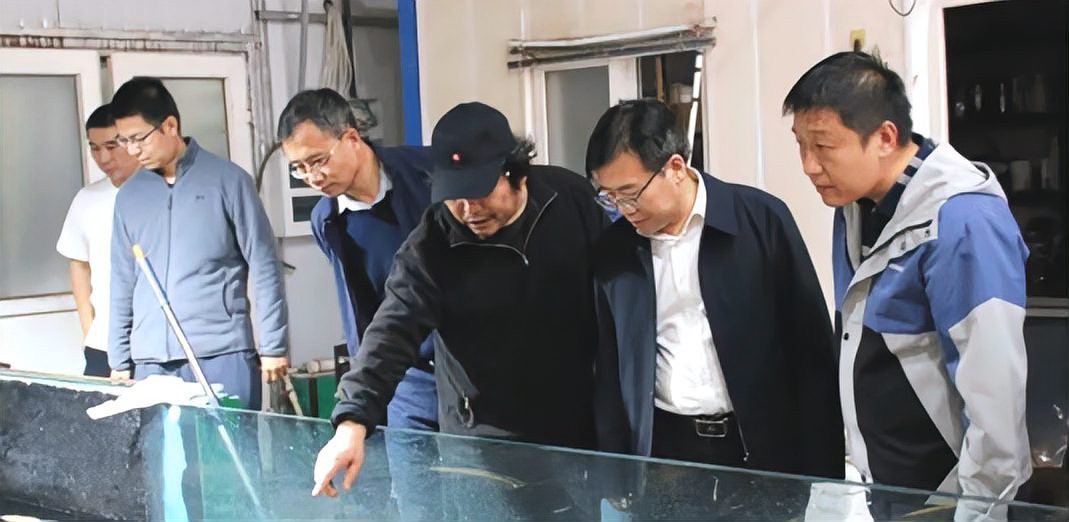 北辰龍魚店【天津北辰區仙塔龍魚觀賞魚店】