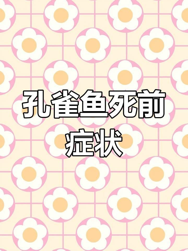 孔雀魚死前10個征兆【孔雀魚死亡前的十大征兆】 孔雀魚死前10個征兆【孔雀魚死亡前的十大征兆】 龍魚百科 第2張