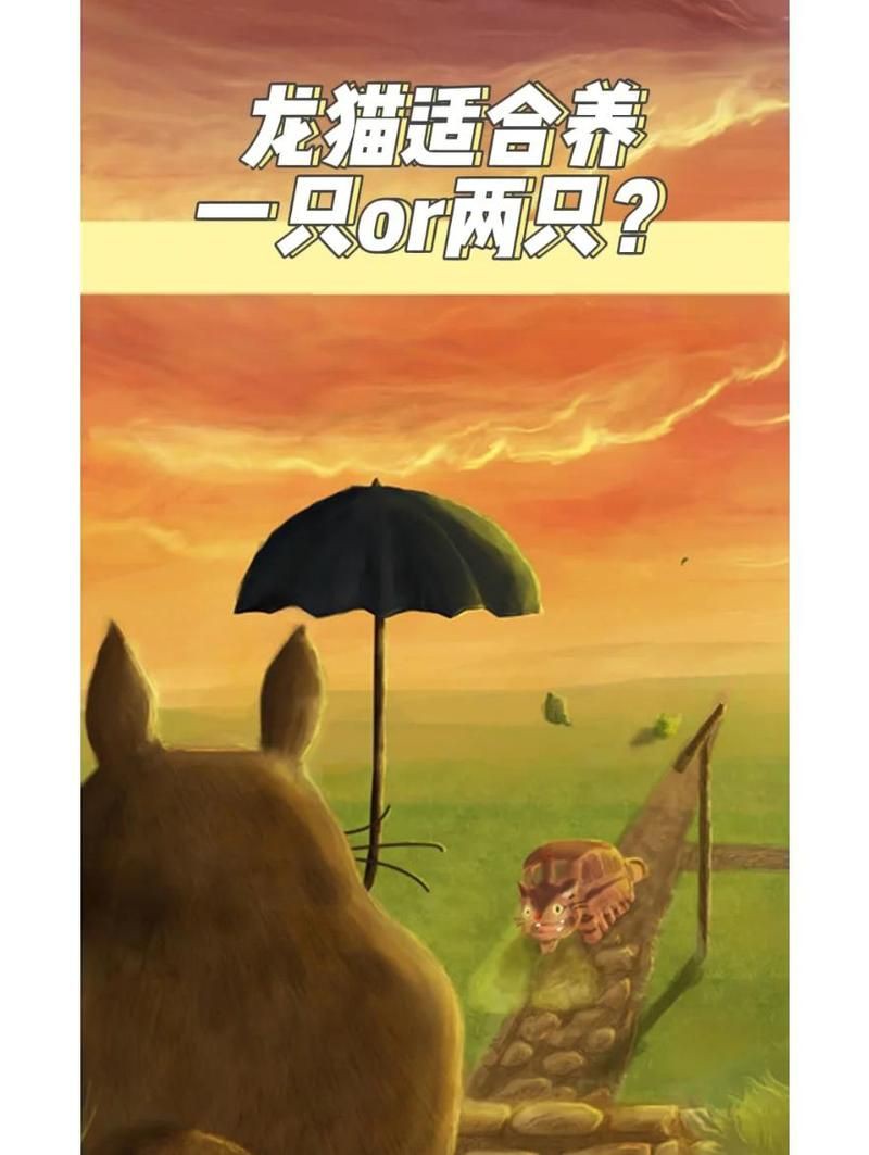 雙養(yǎng)龍貓需要多大的空間？【雙養(yǎng)龍貓需要多大的空間】