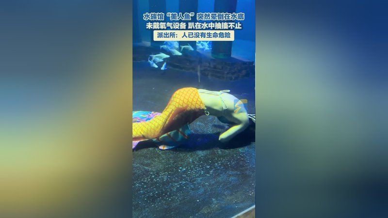紅尾美人魚沒氧氣能活嗎【紅尾美人魚在無氧環(huán)境下能活多久】