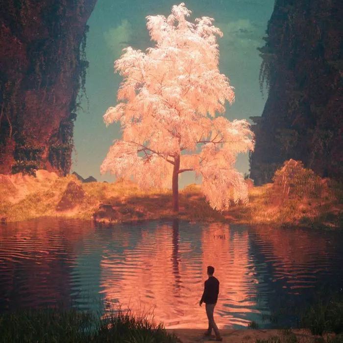 曼龍魚是吉魚還是兇魚【曼龍魚兼具觀賞性與復雜習性其“吉”或“兇”的屬性需辯證看待】