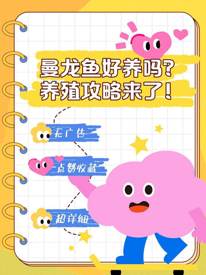 曼龍魚是吉魚還是兇魚【曼龍魚兼具觀賞性與復雜習性其“吉”或“兇”的屬性需辯證看待】