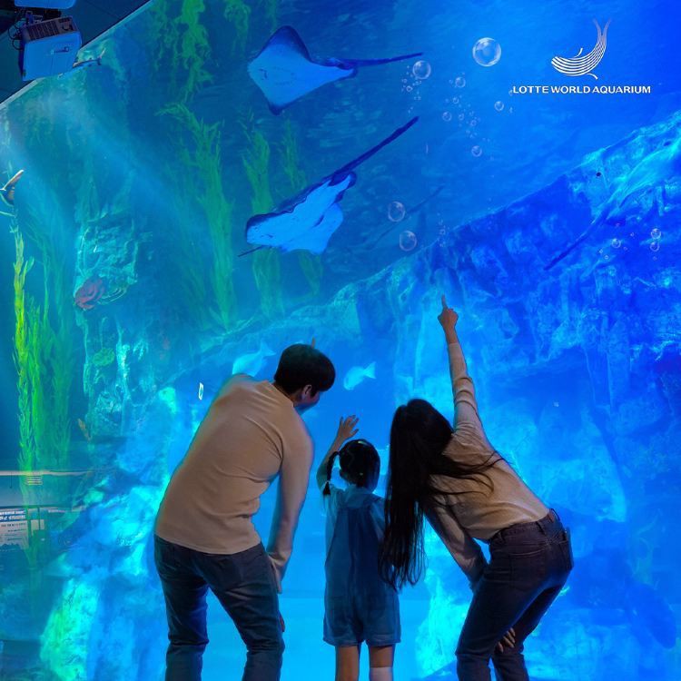 伊克烏素水族店【伊克烏素水族店 伊克烏素水族店【伊克烏素水族店\